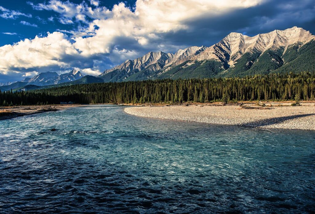 bow river, banff, nature-6888321.jpg