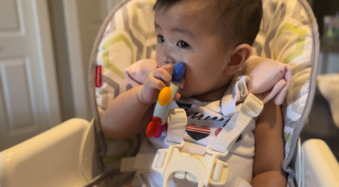 My Baby's Favourite Teething Toys: A Mom's Guide - Wanderer Mom