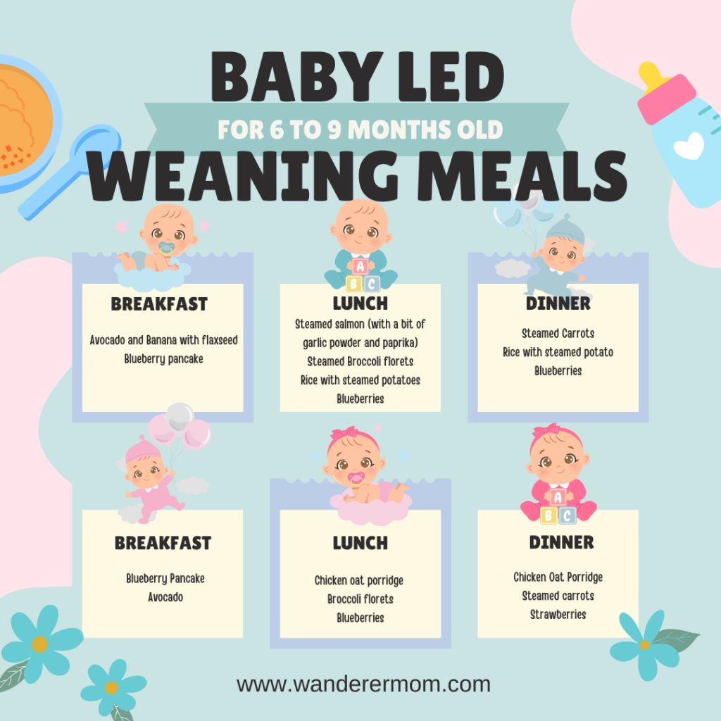 Baby led weaning meals for 6 months and up